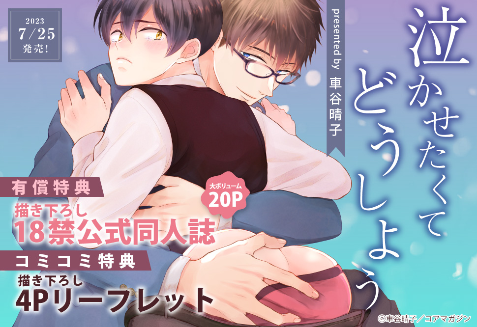 泣かせたくてどうしよう【有償特典・おとなの公式同人誌】