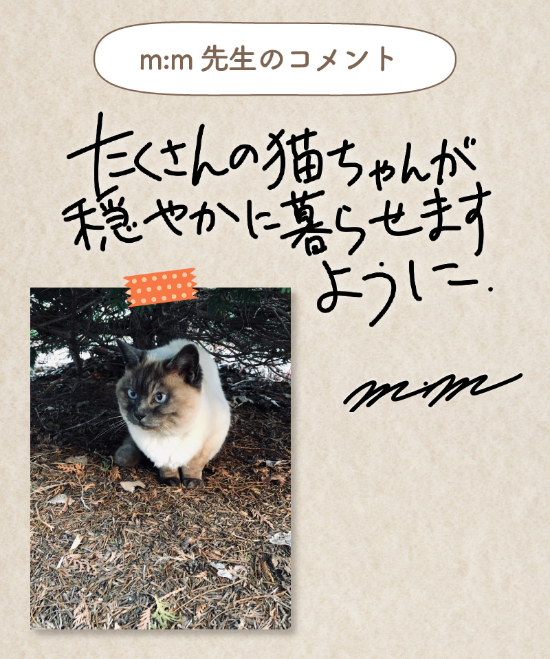 m:m先生コメント