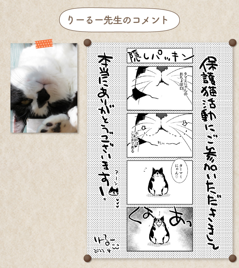 りーるー先生コメント