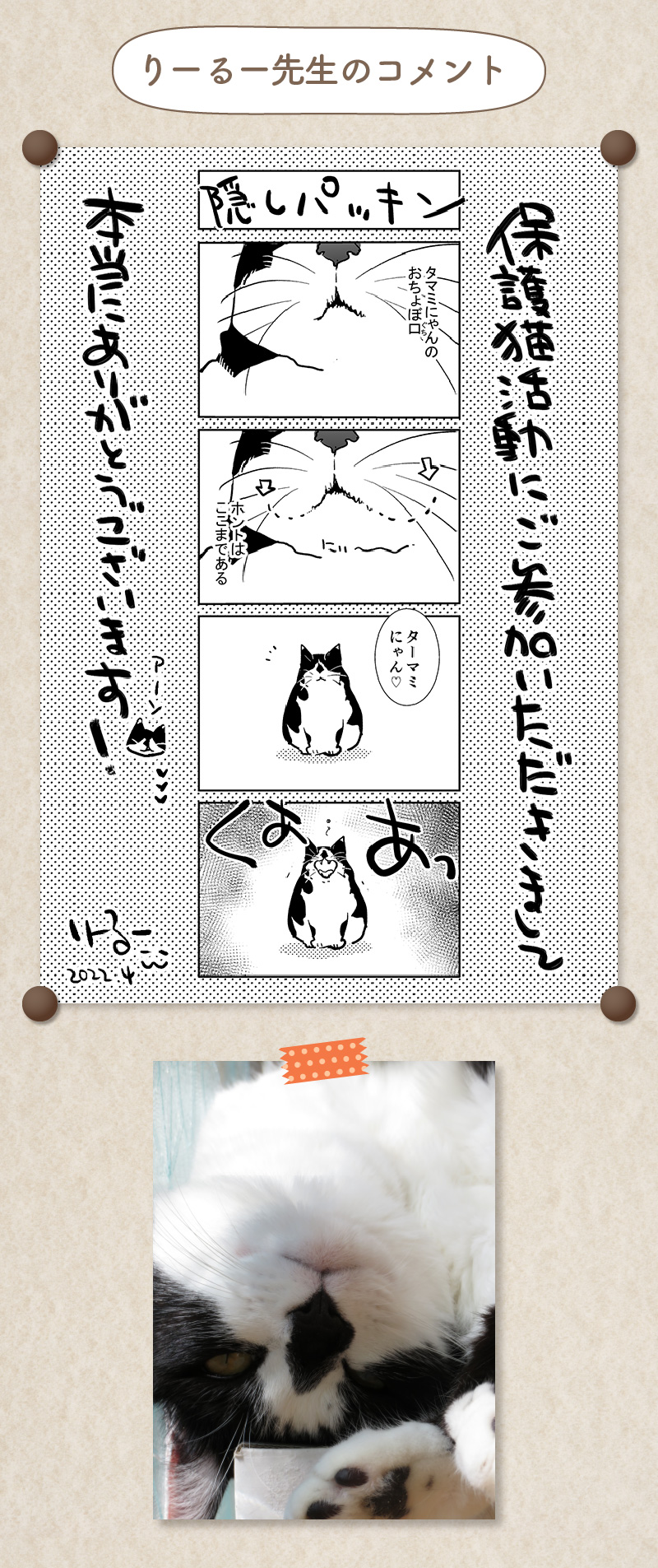 りーるー先生コメント