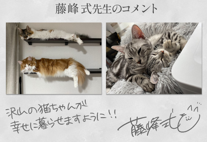 藤峰式先生コメント