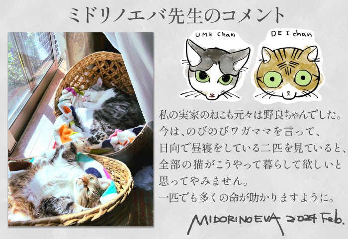 ミドリノエバ先生コメント