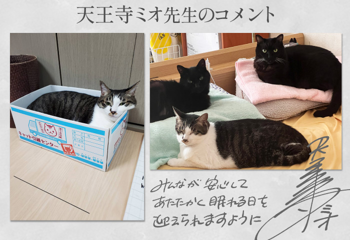 天王寺ミオ先生コメント