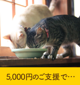 5,000円あれば…