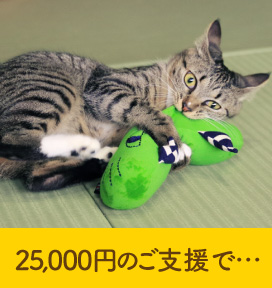25,000円あれば…