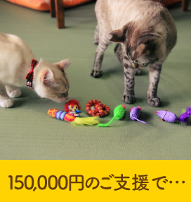 150,000円あれば…