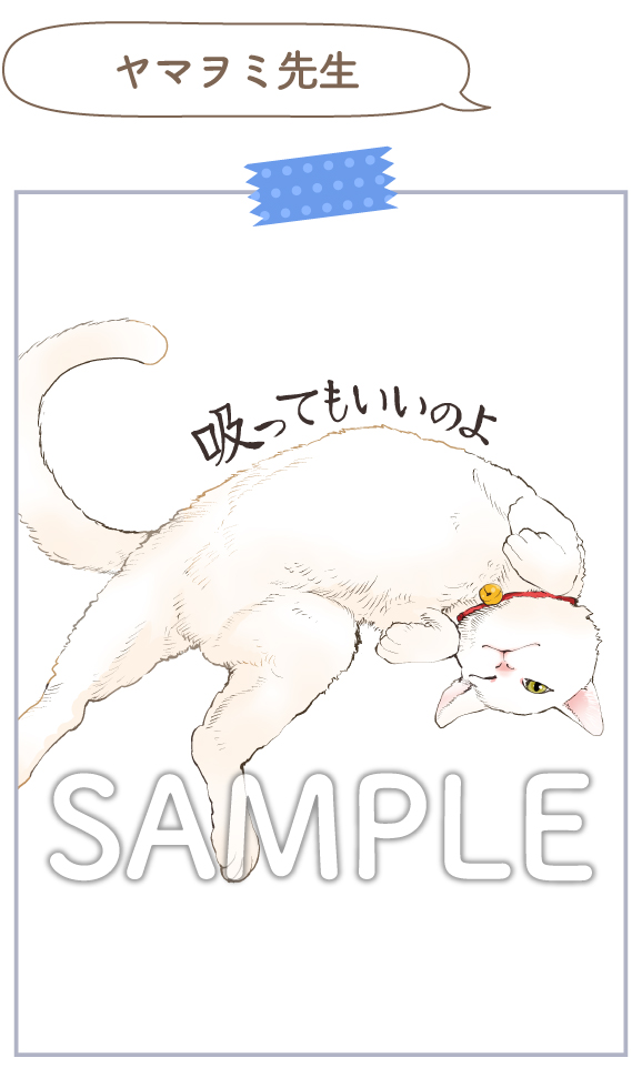 ヤマヲミ先生4