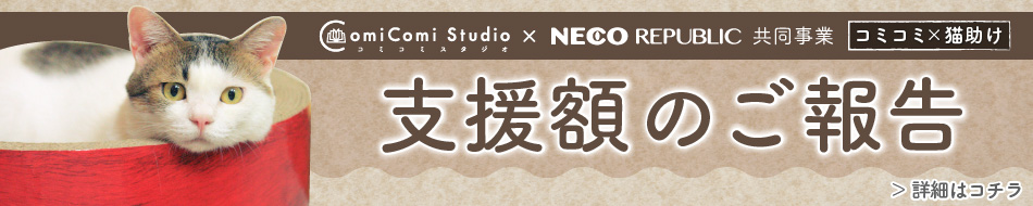 支援額のご報告