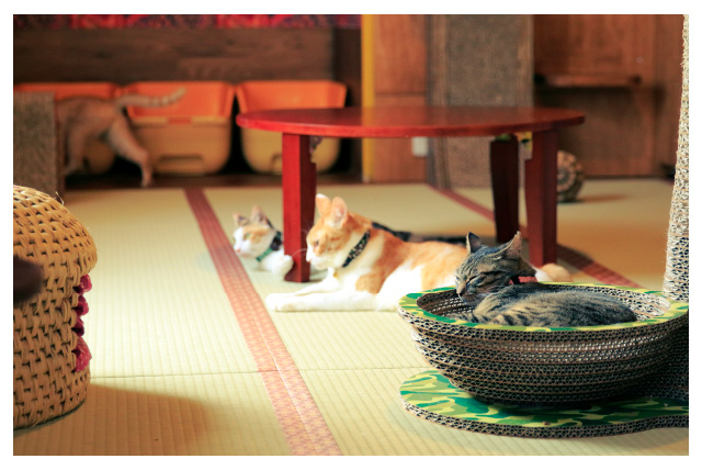 写真2