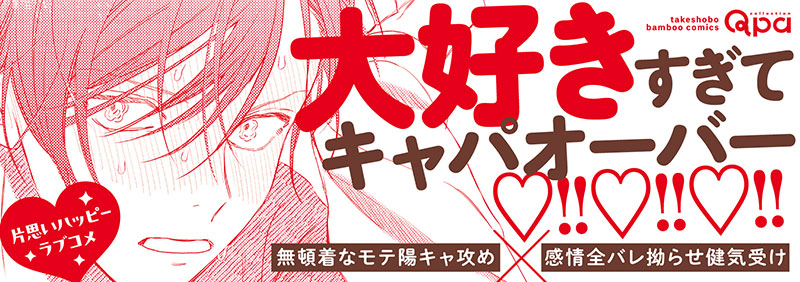 帯入れ込みイメージ