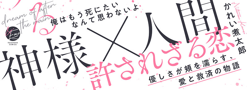 帯入れ込みイメージ