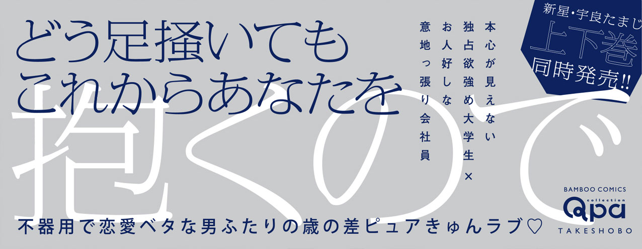 帯入れ込みイメージ