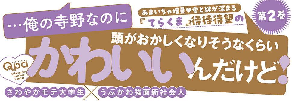 帯入れ込みイメージ