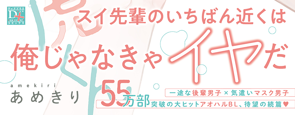 帯入れ込みイメージ
