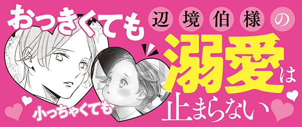 帯入れ込みイメージ