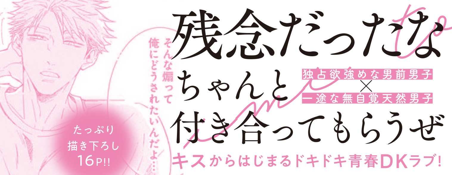 帯入れ込みイメージ