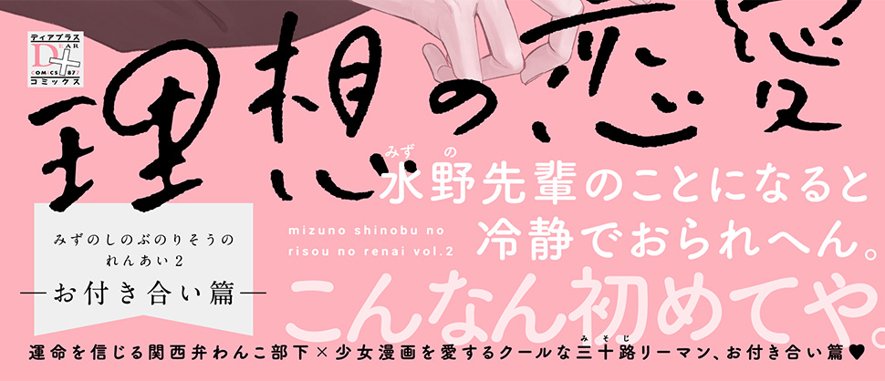 帯入れ込みイメージ