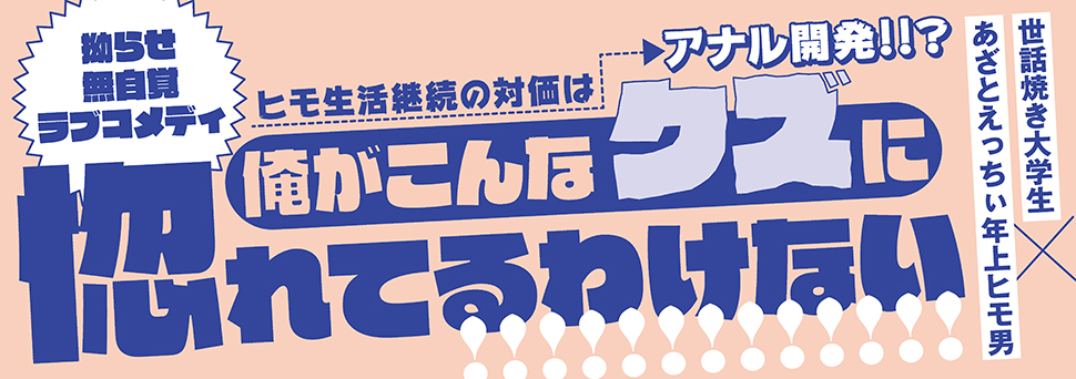 帯入れ込みイメージ