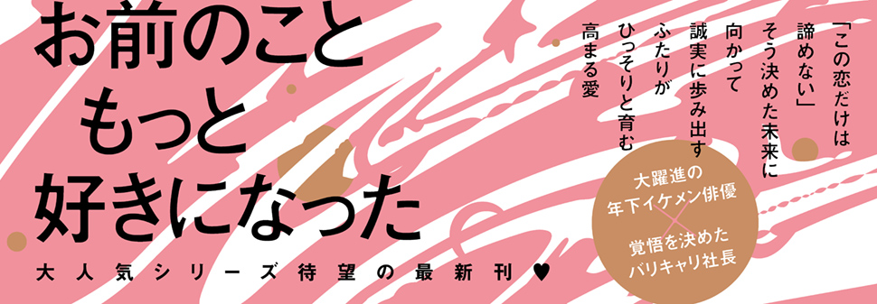 帯入れ込みイメージ
