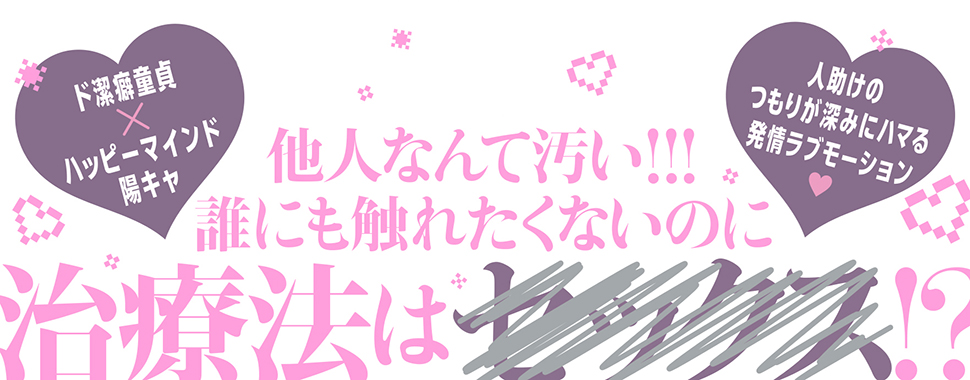 帯入れ込みイメージ