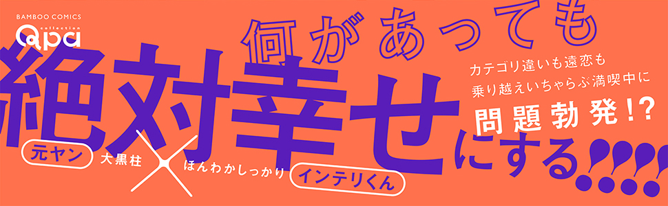 帯入れ込みイメージ