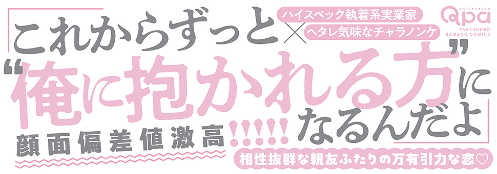 帯入れ込みイメージ