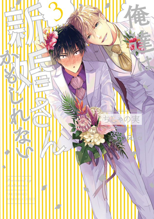 俺達は新婚さんかもしれない（3）（単品）