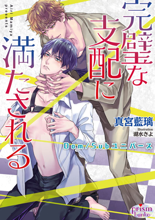 完璧な支配に満たされる　Ｄｏｍ／Ｓｕｂユニバース