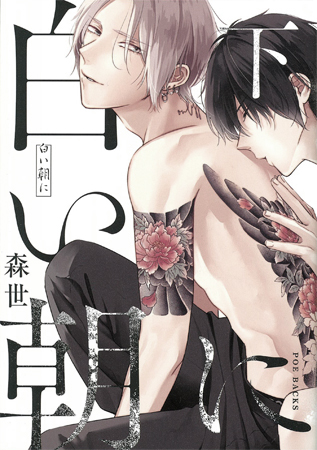 白い朝に（下）（通常版）