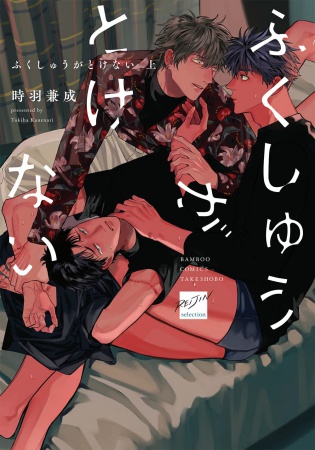 ふくしゅうがとけない（上）（単品）