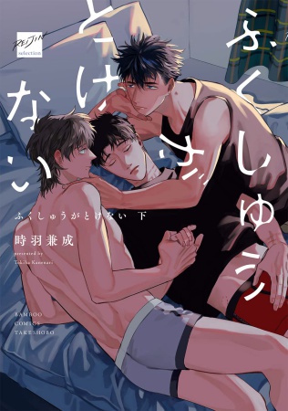 ふくしゅうがとけない（下）（単品）