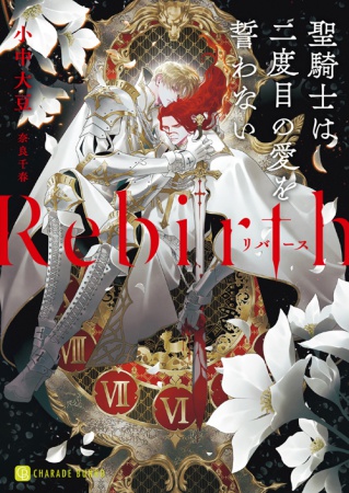 Rebirth ～聖騎士は二度目の愛を誓わない（単品）