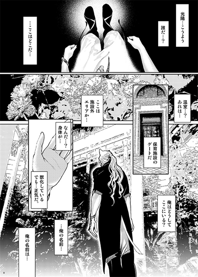 ROMEO7