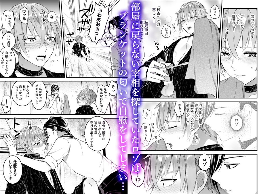 男騎士だったけど鬼の宰相の愛玩動物(ペット)になりました(1)