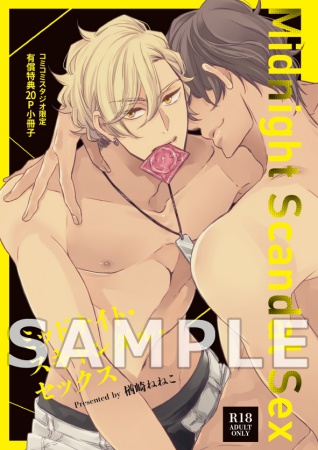 ミッドナイト・スキャンダル・セックス【有償特典・おとなの公式同人誌】