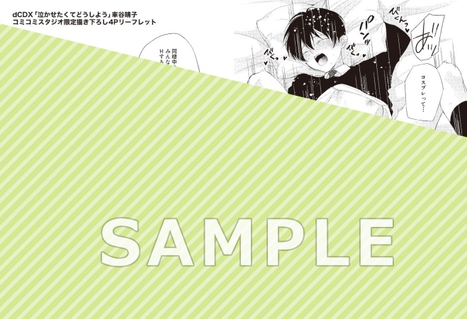 泣かせたくてどうしよう（単品）
