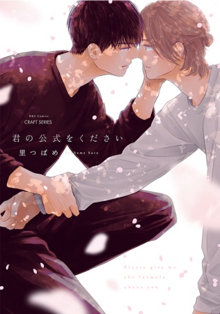 君の公式をください（単品）
