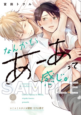 ドラマCD　なんかもうあーあって感じ。