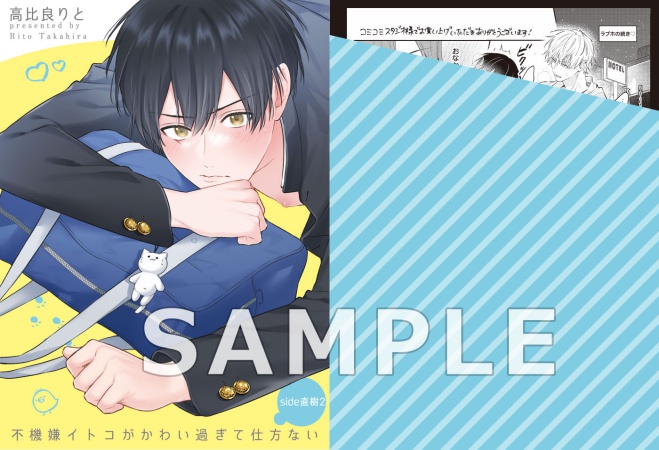 不機嫌イトコがかわい過ぎて仕方ない side直樹（2）（単品）