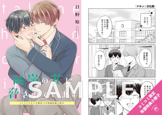 高嶺の花に脅されています【有償特典・小冊子】