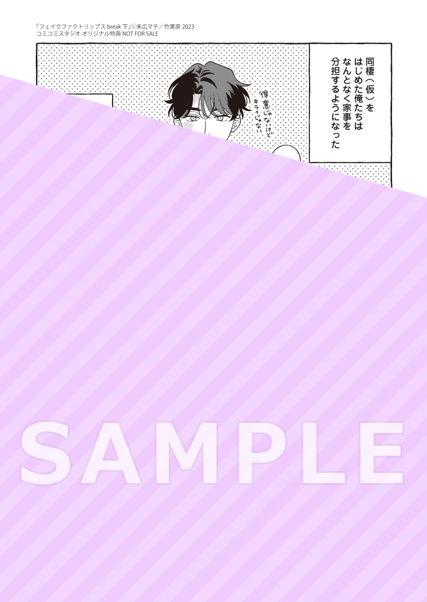 フェイクファクトリップス break（下）（単品）