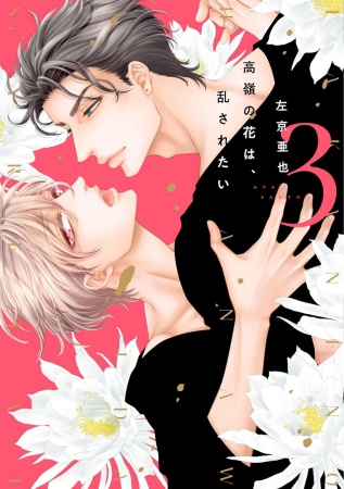 高嶺の花は、乱されたい（3）（単品）