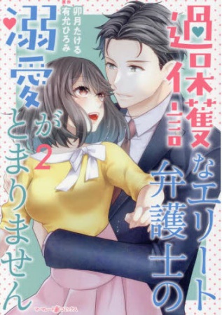 過保護なエリート弁護士の溺愛がとまりません（2）