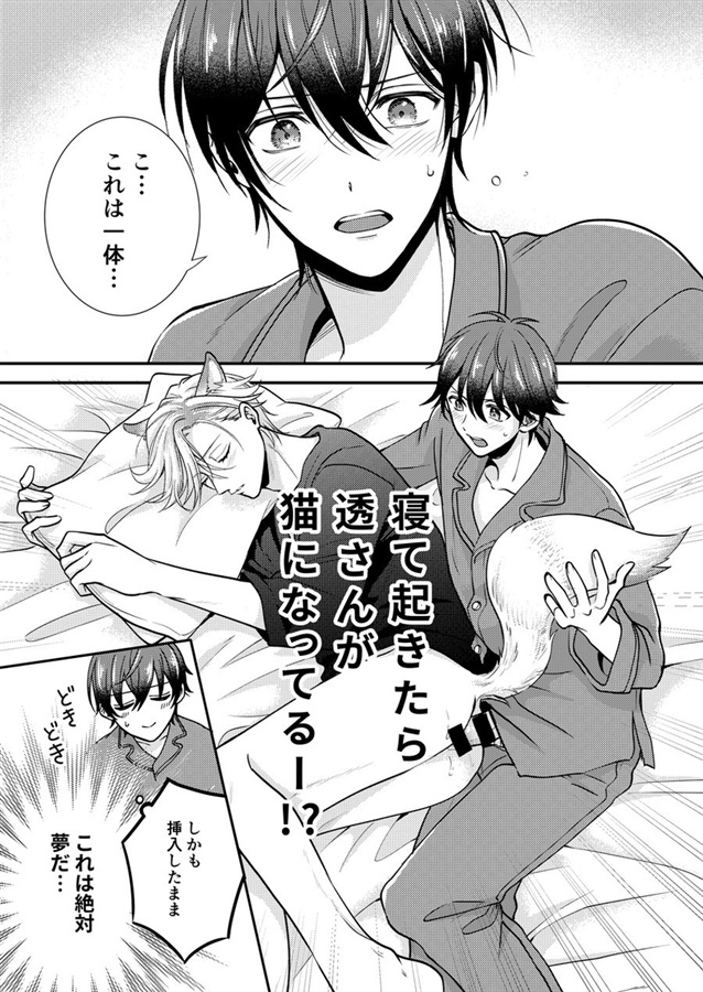 発情ネコの再録集