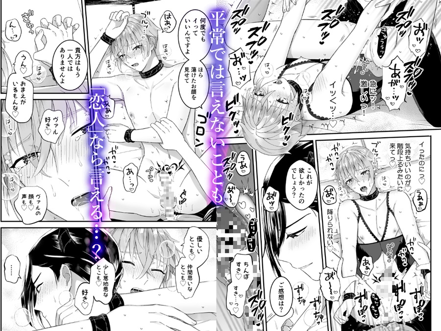 男騎士だったけど鬼の宰相の愛玩動物(ペット)になりました(2)