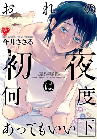 おれの初夜は何度あってもいい（下）（単品）