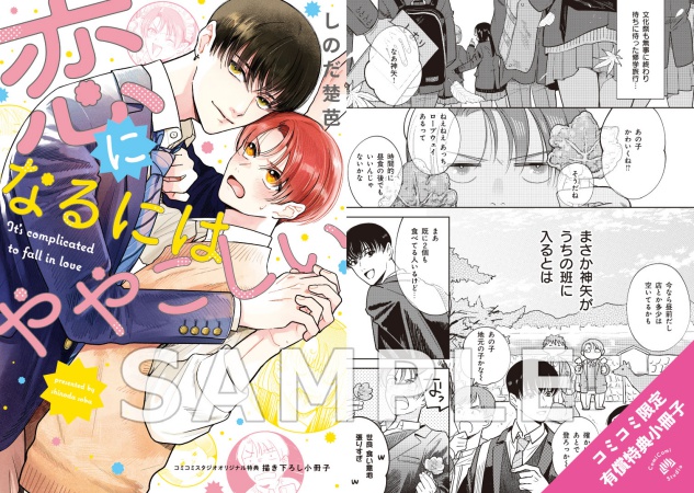 恋になるにはややこしい【有償特典・小冊子】