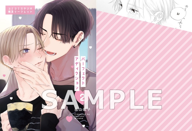 パーフェクトアディクション（2）（単品）