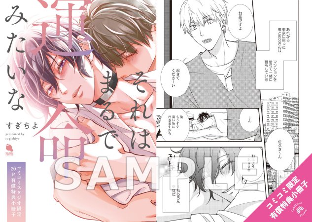 それはまるで運命みたいな【有償特典・小冊子】