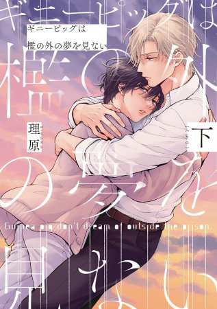 ギニーピッグは檻の外の夢を見ない（下）（単品）